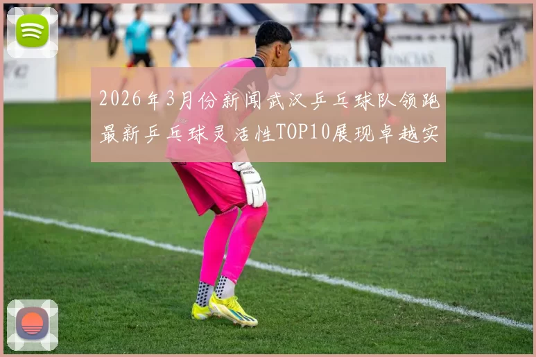 2026年3月份新闻武汉乒乓球队领跑最新乒乓球灵活性TOP10展现卓越实力与技术魅力