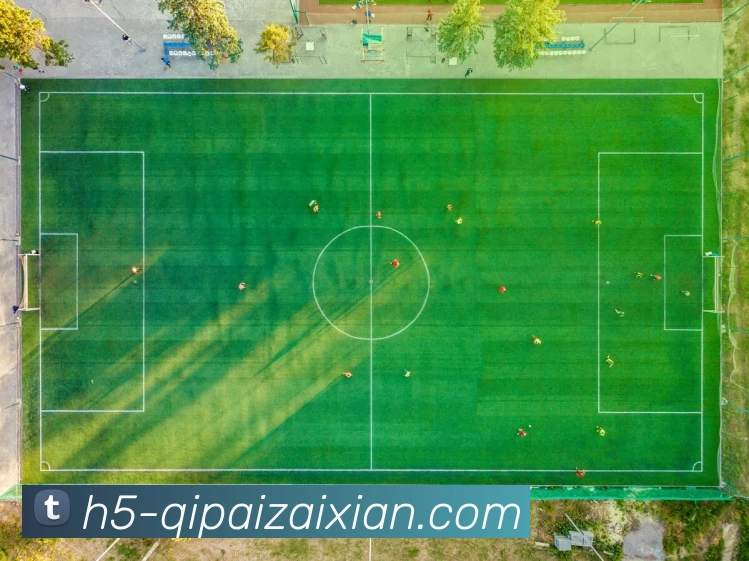 多媒体互动体验